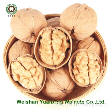 Walnut kernels cahaya warna cahaya (LP) dari kilang Cina